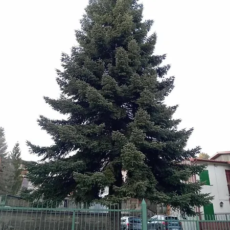 S1 Sila * Camigliatello Silano